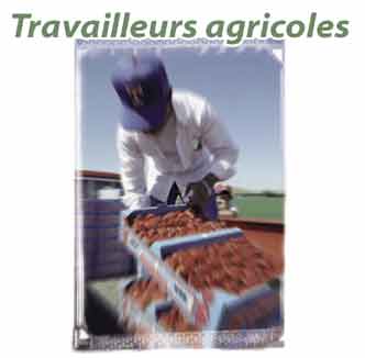 TUAC Canada s'&eacute;vertuent &agrave; obtenir les m&ecirc;mes droits pour les travailleurs agricoles ontariens